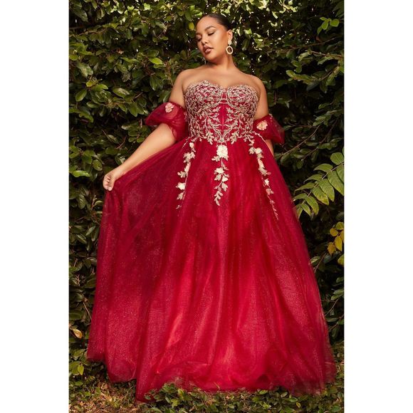 Red Cinderella Divine Size 24 A-line dress